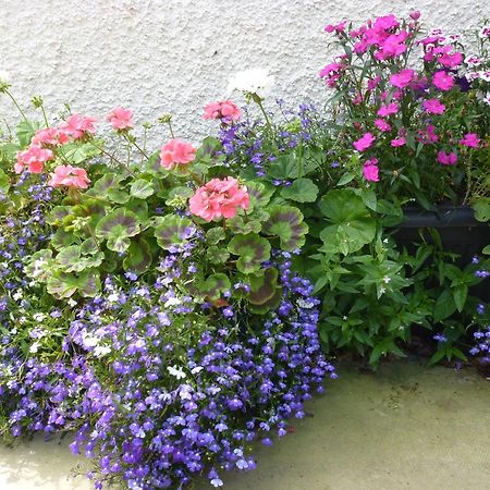Home Farm Bed And Breakfast 뮤어오브오드 외부 사진